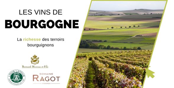 Les grands vins de Bourgogne