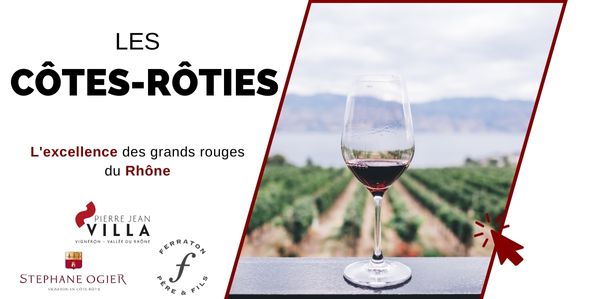 Les meilleurs vins rouges de Côte-rôtie