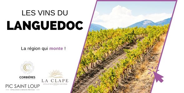 Les vins du Languedoc Roussillon