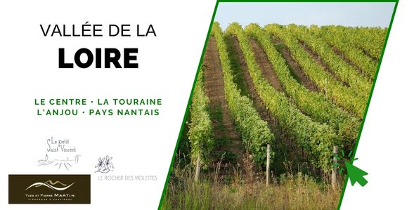 Les domaines producteurs de vins en val de Loire